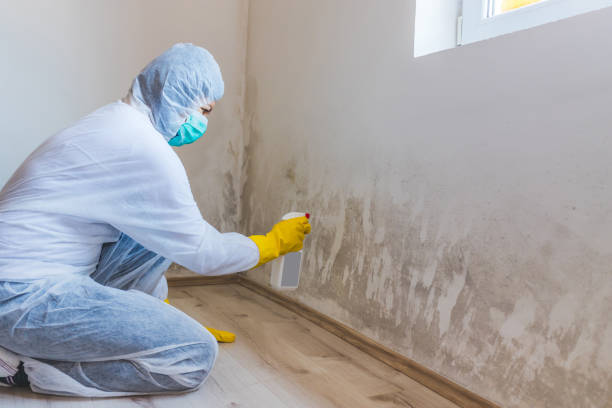 Hvac And Air Duct Mold Remediation inspection of HVAC system in Sun City