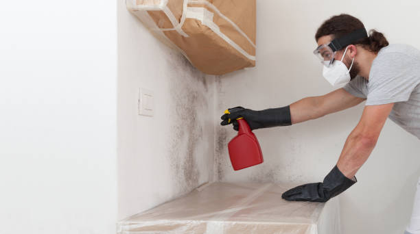 Basement Mold Remediation treatment on basement walls in Sun City